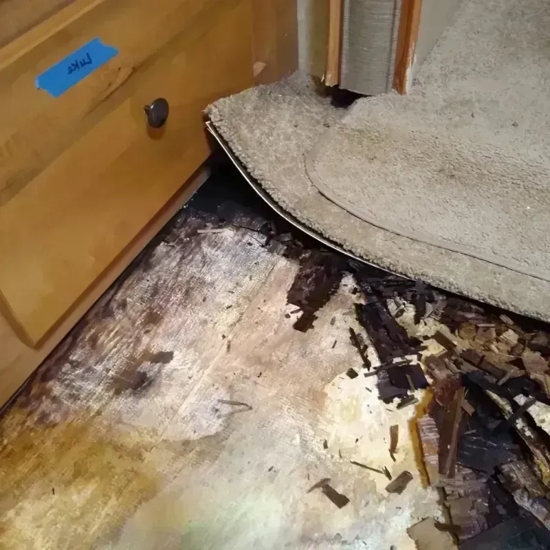 Wood Floor Water Damage in San Pedro, CA